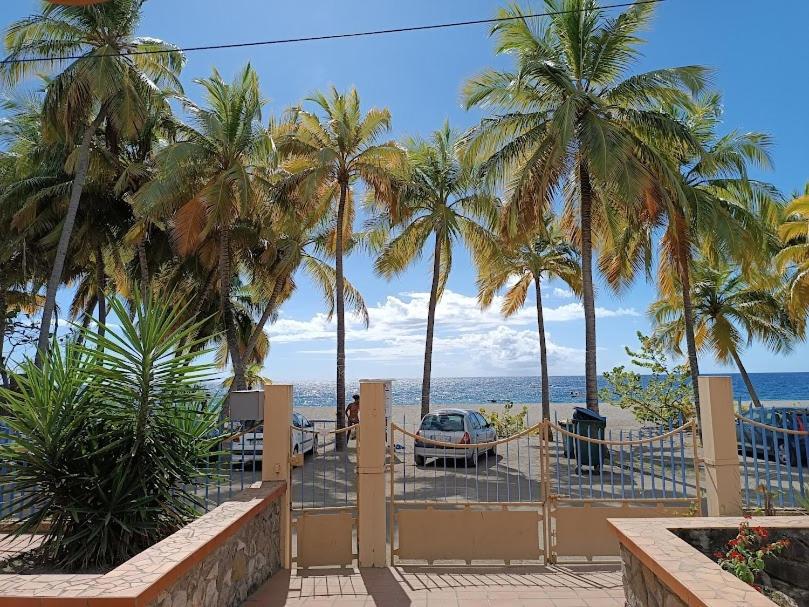 Votre Bungalow "Petit Tresor" Vintage 80 Appartement Le Carbet Buitenkant foto